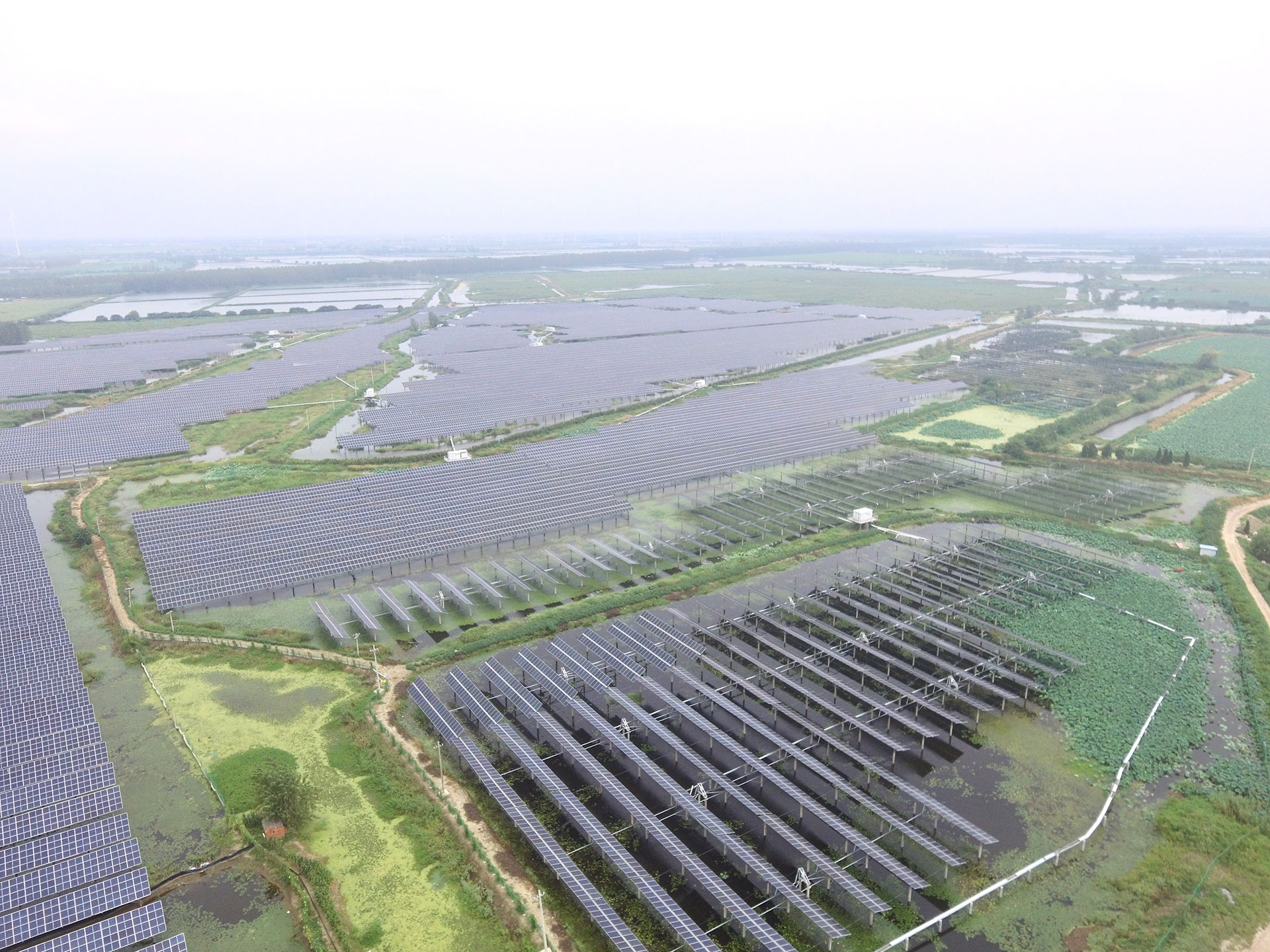 中国·888贵宾会科技江苏扬州宝应光伏发电应用领跑基地2号100兆瓦项目